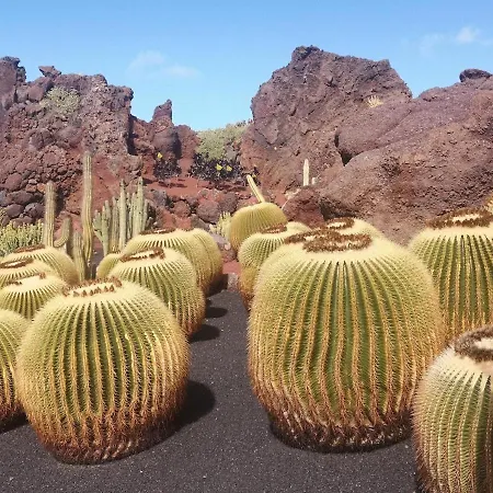 Apartamento El Sueno Ocean Lanzamar - Puerto del Carmen (Lanzarote)
