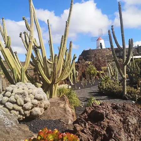 Appartamento El Sueno Ocean Lanzamar - *