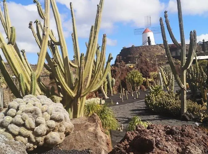 Appartamento El Sueno Ocean Lanzamar - *